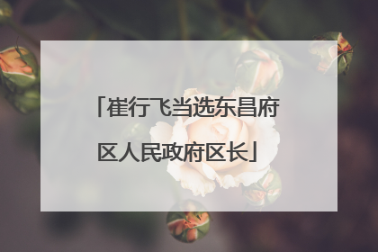 崔行飞当选东昌府区人民政府区长