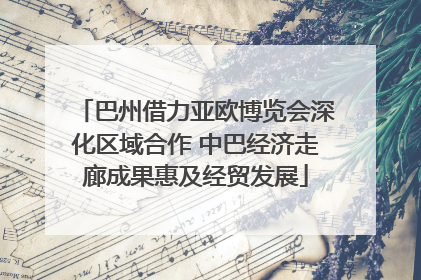 巴州借力亚欧博览会深化区域合作 中巴经济走廊成果惠及经贸发展