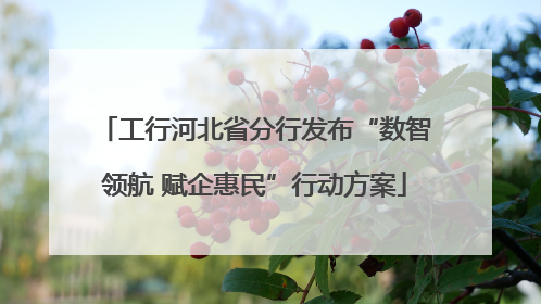 工行河北省分行发布“数智领航 赋企惠民”行动方案