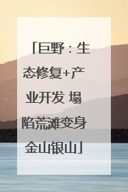 巨野：生态修复+产业开发 塌陷荒滩变身金山银山