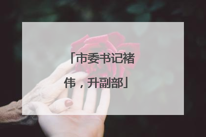 市委书记褚伟，升副部