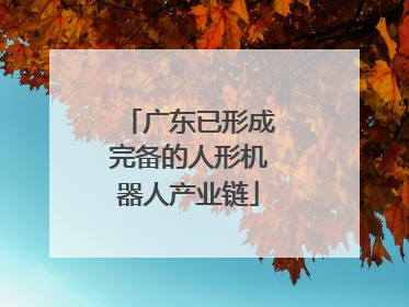 广东已形成完备的人形机器人产业链