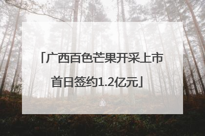 广西百色芒果开采上市 首日签约1.2亿元