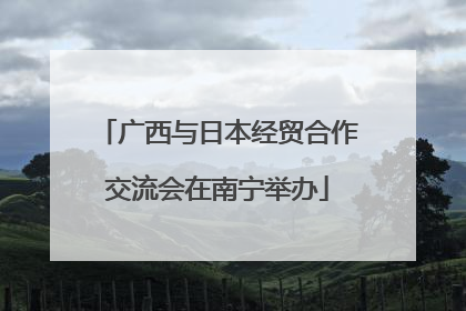 广西与日本经贸合作交流会在南宁举办