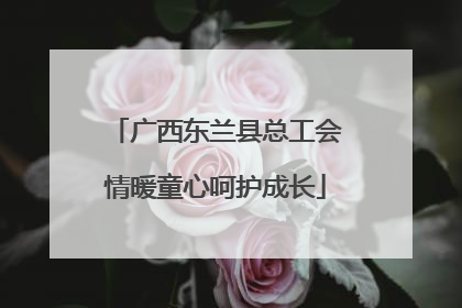 广西东兰县总工会情暖童心呵护成长