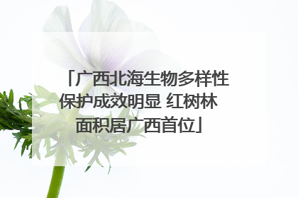 广西北海生物多样性保护成效明显 红树林面积居广西首位