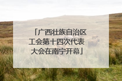 广西壮族自治区工会第十四次代表大会在南宁开幕