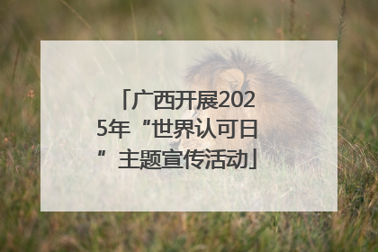 广西开展2025年“世界认可日”主题宣传活动