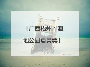 广西梧州：湿地公园夏景美