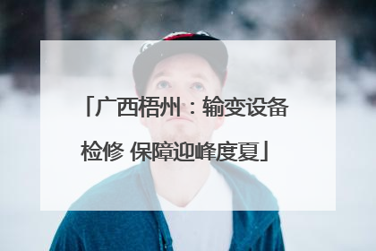 广西梧州：输变设备检修 保障迎峰度夏