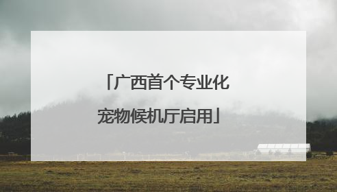 广西首个专业化宠物候机厅启用
