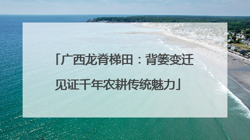 广西龙脊梯田：背篓变迁见证千年农耕传统魅力