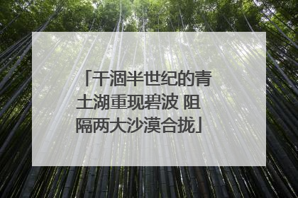 干涸半世纪的青土湖重现碧波 阻隔两大沙漠合拢