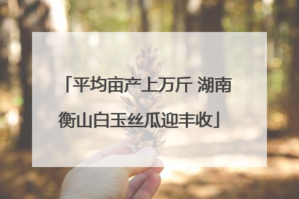 平均亩产上万斤 湖南衡山白玉丝瓜迎丰收
