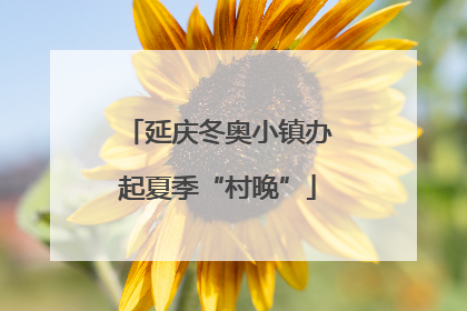 延庆冬奥小镇办起夏季“村晚”