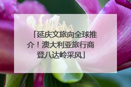 延庆文旅向全球推介！澳大利亚旅行商登八达岭采风