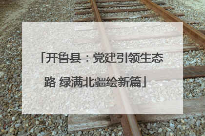 开鲁县：党建引领生态路 绿满北疆绘新篇