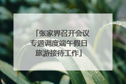 张家界召开会议专题调度端午假日旅游接待工作