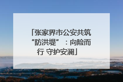 张家界市公安共筑“防洪堤”：向险而行 守护安澜