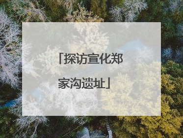 探访宣化郑家沟遗址