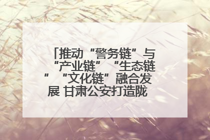 推动“警务链”与“产业链”“生态链”“文化链”融合发展 甘肃公安打造陇原旅游警务品牌