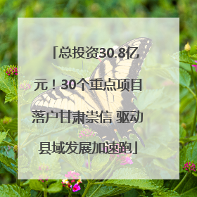 总投资30.8亿元！30个重点项目落户甘肃崇信 驱动县域发展加速跑