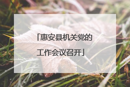 惠安县机关党的工作会议召开