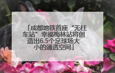 成都地铁首座“无柱车站”幸福梅林站将创造出6.5个足球场大小的通透空间