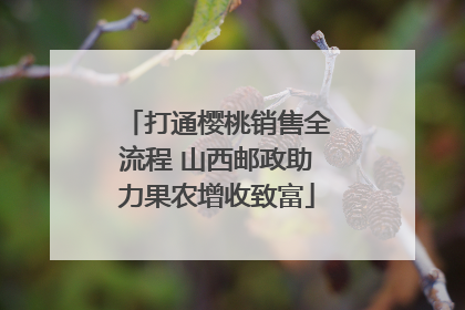 打通樱桃销售全流程 山西邮政助力果农增收致富