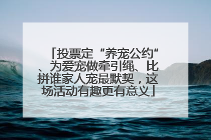 投票定“养宠公约”、为爱宠做牵引绳、比拼谁家人宠最默契，这场活动有趣更有意义