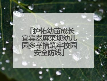 护佑幼苗成长 宜宾翠屏菜坝幼儿园多举措筑牢校园安全防线