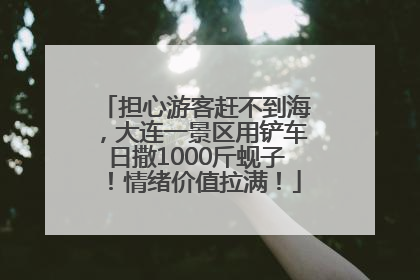 担心游客赶不到海，大连一景区用铲车日撒1000斤蚬子！情绪价值拉满！