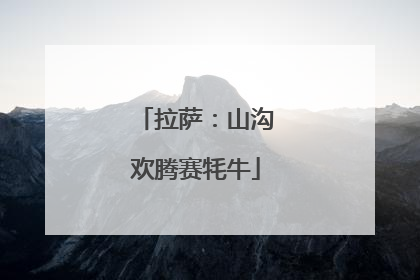 拉萨：山沟欢腾赛牦牛