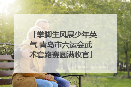 拳脚生风展少年英气 青岛市六运会武术套路赛圆满收官