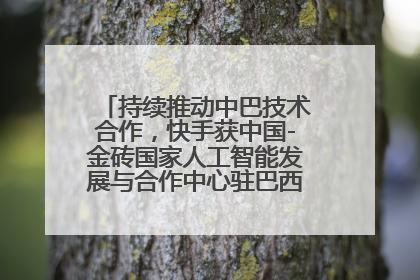 持续推动中巴技术合作，快手获中国-金砖国家人工智能发展与合作中心驻巴西成果转化中心授牌