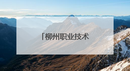 柳州职业技术大学成立低空经济产业学院