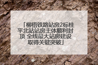 柳梧铁路站房2标桂平北站站房主体顺利封顶 全线最大站房建设取得关键突破