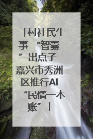 村社民生事 “智囊”出点子 嘉兴市秀洲区推行AI“民情一本账”
