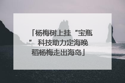 杨梅树上挂“宝瓶” 科技助力定海晚稻杨梅走出海岛