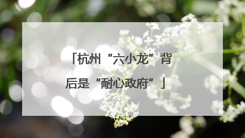 杭州“六小龙”背后是“耐心政府”