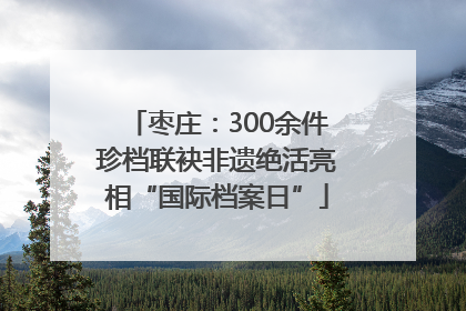 枣庄：300余件珍档联袂非遗绝活亮相“国际档案日”
