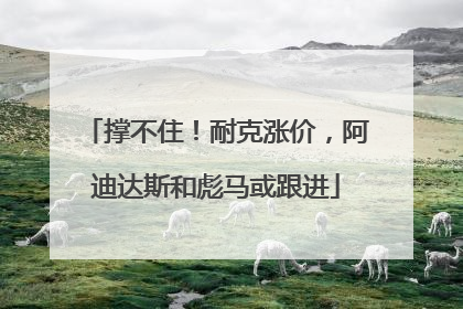 撑不住！耐克涨价，阿迪达斯和彪马或跟进