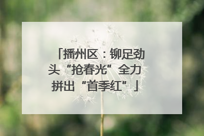 播州区：铆足劲头“抢春光”全力拼出“首季红”