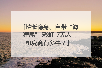 擅长隐身、自带“海狸尾” 彩虹-7无人机究竟有多牛？