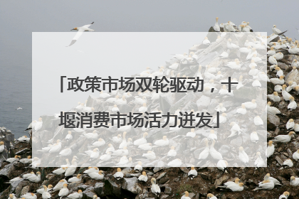 政策市场双轮驱动，十堰消费市场活力迸发