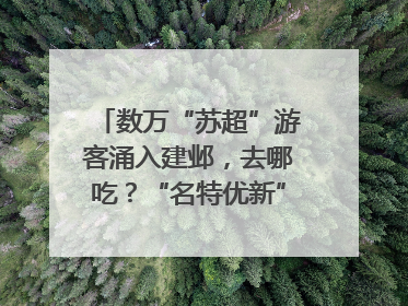 数万“苏超”游客涌入建邺，去哪吃？“名特优新”商户地图严选30家宝藏店铺