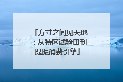 方寸之间见天地：从特区试验田到提振消费引擎