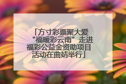 方寸彩票聚大爱 “福暖彩云南”走进福彩公益金资助项目活动在曲靖举行