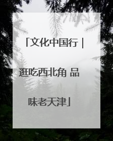 文化中国行｜逛吃西北角 品味老天津