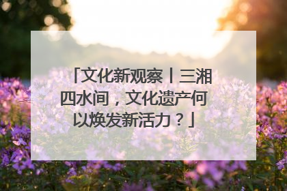 文化新观察丨三湘四水间，文化遗产何以焕发新活力？